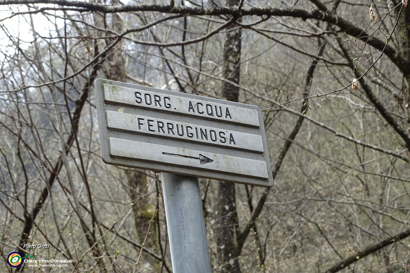 55 Sorgente di acqua ferruginosa.JPG